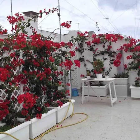 La Casetta Sul Porto Apartment *